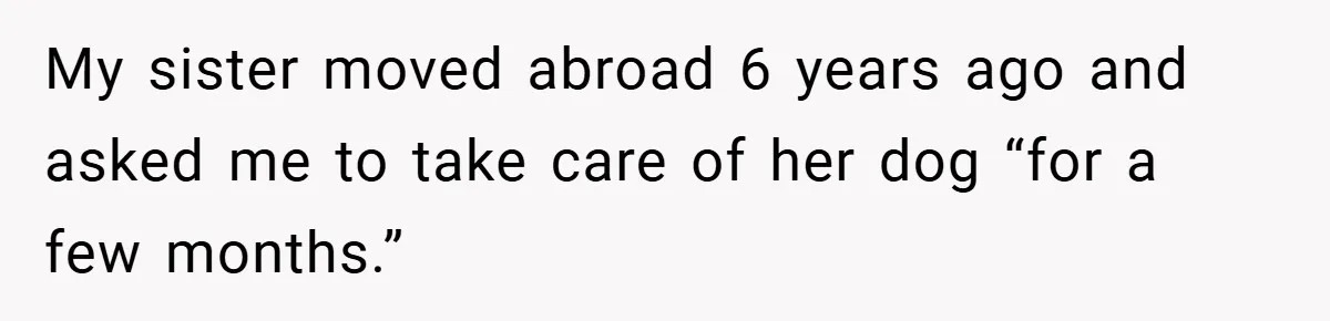 My sister moved abroad 6 years ago and asked me to take care of her dog “for a few months.”