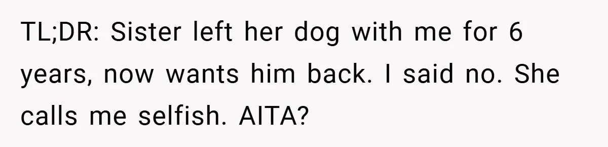 TL;DR: Sister left her dog with me for 6 years, now wants him back. I said no. She calls me selfish. AITA?
