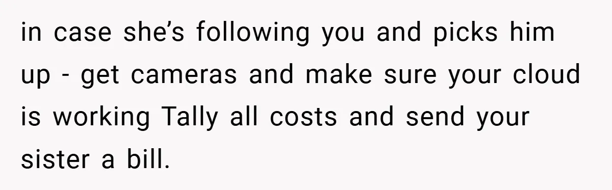 in case she’s following you and picks him up - get cameras and make sure your cloud is working Tally all costs and send your sister a bill.
