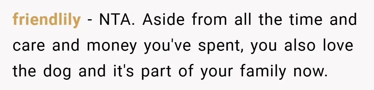 friendlily − NTA. Aside from all the time and care and money you've spent, you also love the dog and it's part of your family now.