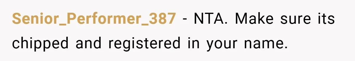 Senior_Performer_387 − NTA. Make sure its chipped and registered in your name.
