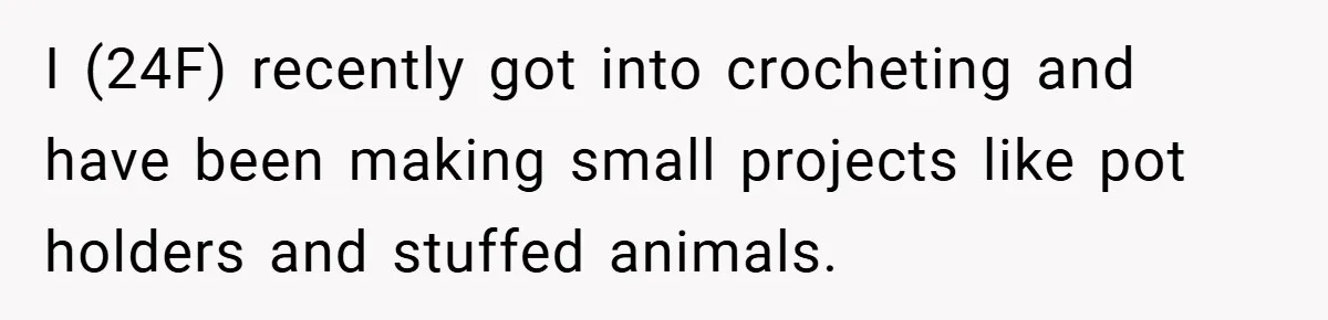 I (24F) recently got into crocheting and have been making small projects like pot holders and stuffed animals.