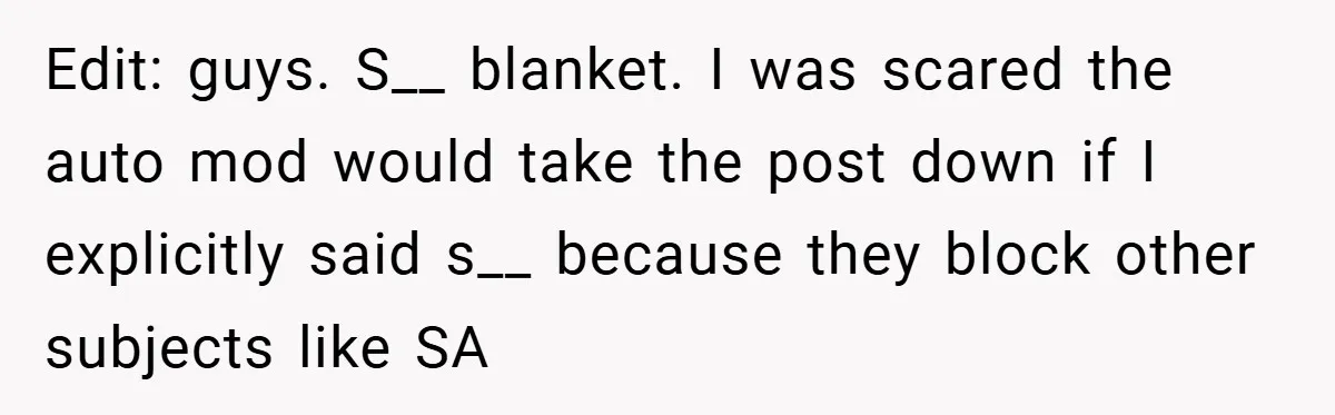 Edit: guys. S__ blanket. I was scared the auto mod would take the post down if I explicitly said s__ because they block other subjects like SA