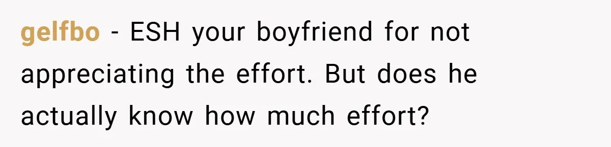 gelfbo − ESH your boyfriend for not appreciating the effort. But does he actually know how much effort?