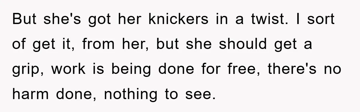 But she's got her knickers in a twist. I sort of get it, from her, but she should get a grip, work is being done for free, there's no harm...