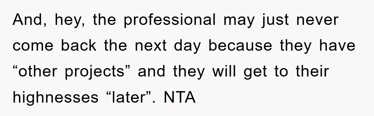 And, hey, the professional may just never come back the next day because they have “other projects” and they will get to their highnesses “later”. NTA