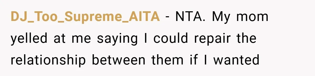 DJ_Too_Supreme_AITA − NTA. My mom yelled at me saying I could repair the relationship between them if I wanted