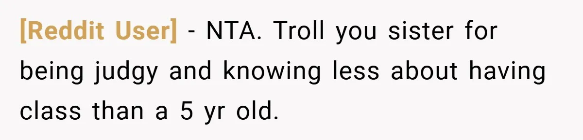 [Reddit User] − NTA. Troll you sister for being judgy and knowing less about having class than a 5 yr old.