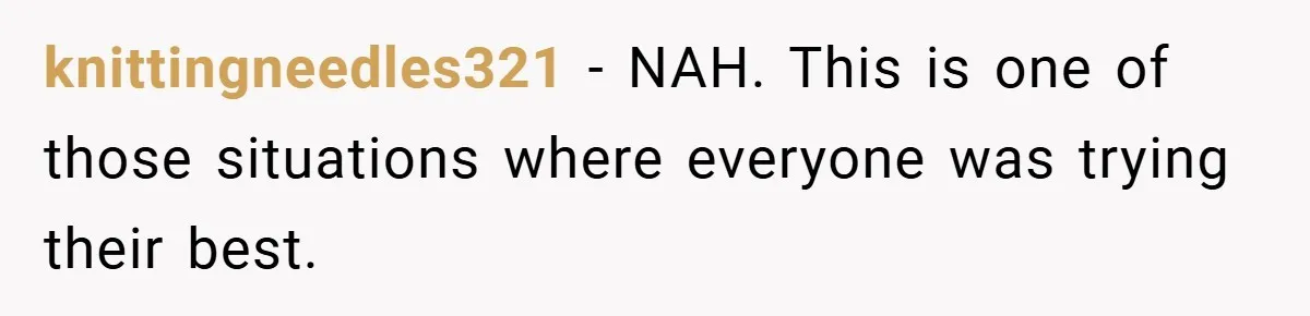 knittingneedles321 − NAH. This is one of those situations where everyone was trying their best.