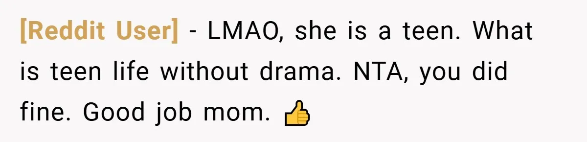 [Reddit User] − LMAO, she is a teen. What is teen life without drama. NTA, you did fine. Good job mom. 👍