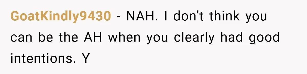 GoatKindly9430 − NAH. I don’t think you can be the AH when you clearly had good intentions. Y