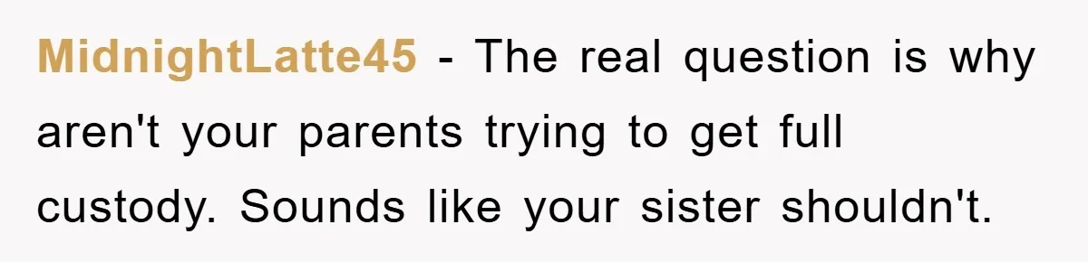 MidnightLatte45 − The real question is why aren't your parents trying to get full custody. Sounds like your sister shouldn't.