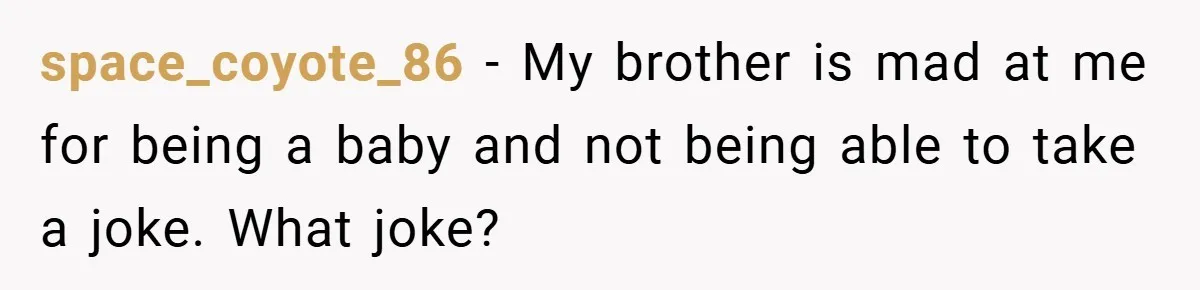 space_coyote_86 − My brother is mad at me for being a baby and not being able to take a joke. What joke?