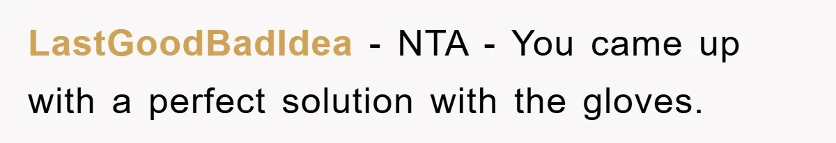 LastGoodBadIdea − NTA - You came up with a perfect solution with the gloves.
