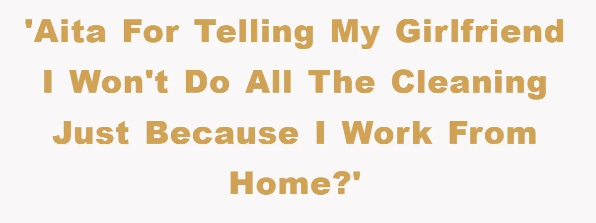'AITA for telling my girlfriend I won't do all the cleaning just because I work from home?'
