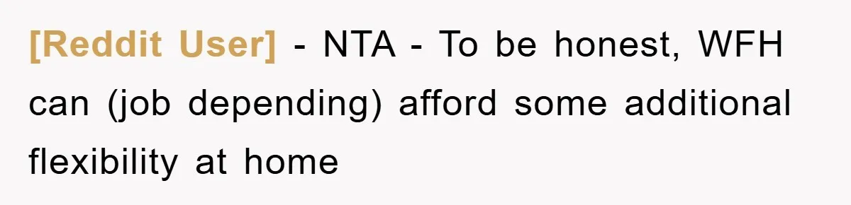 [Reddit User] − NTA - To be honest, WFH can (job depending) afford some additional flexibility at home