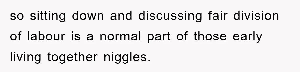 so sitting down and discussing fair division of labour is a normal part of those early living together niggles.