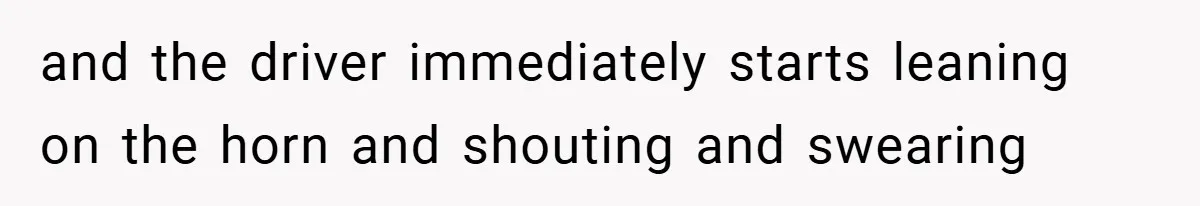 and the driver immediately starts leaning on the horn and shouting and swearing