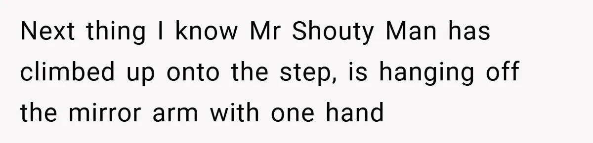 Next thing I know Mr Shouty Man has climbed up onto the step, is hanging off the mirror arm with one hand