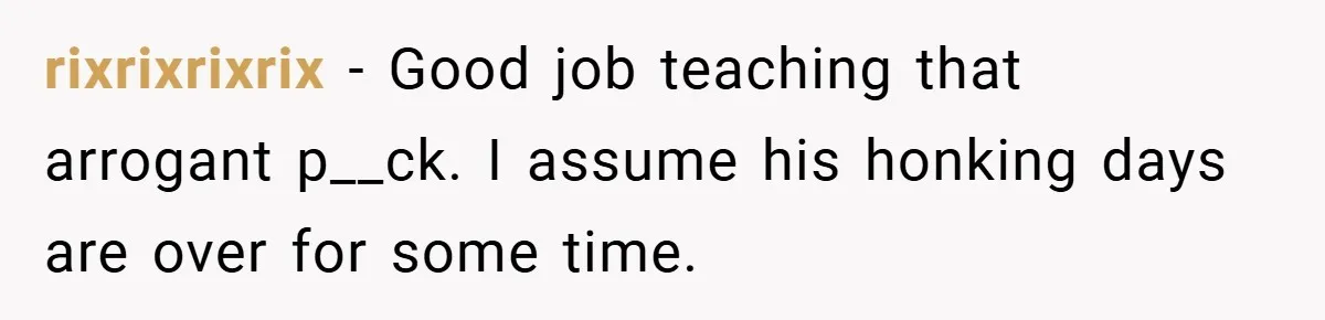 rixrixrixrix − Good job teaching that arrogant p__ck. I assume his honking days are over for some time.