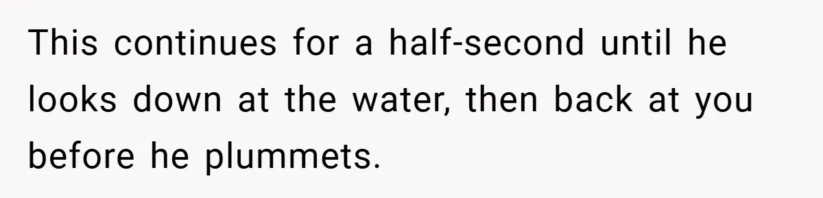 This continues for a half-second until he looks down at the water, then back at you before he plummets.