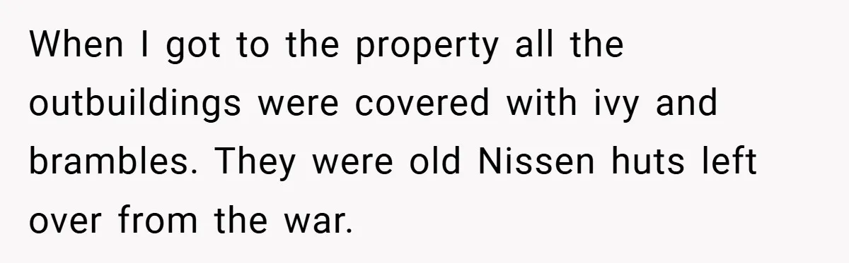 When I got to the property all the outbuildings were covered with ivy and brambles. They were old Nissen huts left over from the war.