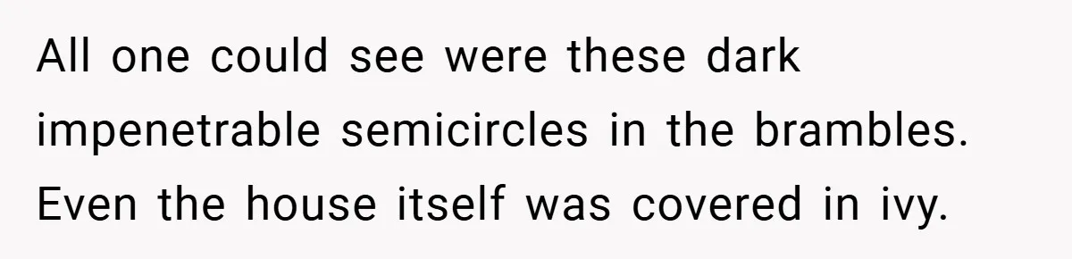 All one could see were these dark impenetrable semicircles in the brambles. Even the house itself was covered in ivy.