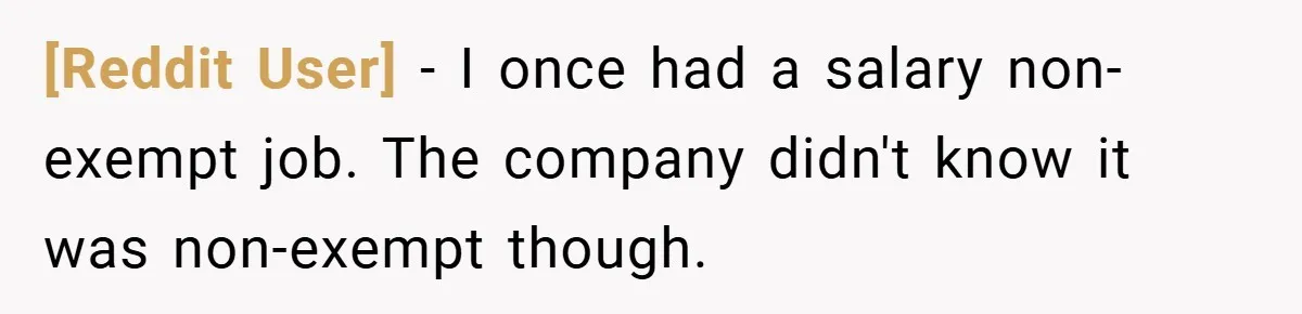 [Reddit User] − I once had a salary non-exempt job. The company didn't know it was non-exempt though.