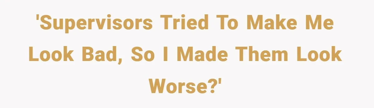 'Supervisors Tried to Make Me Look Bad, So I Made Them Look Worse?'