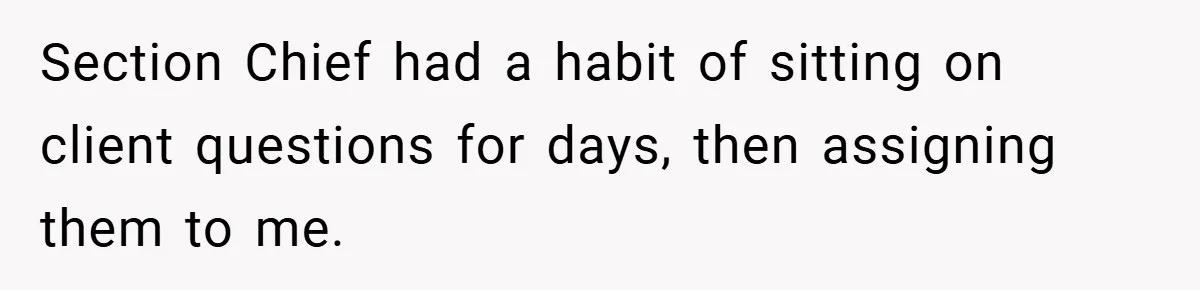Section Chief had a habit of sitting on client questions for days, then assigning them to me.