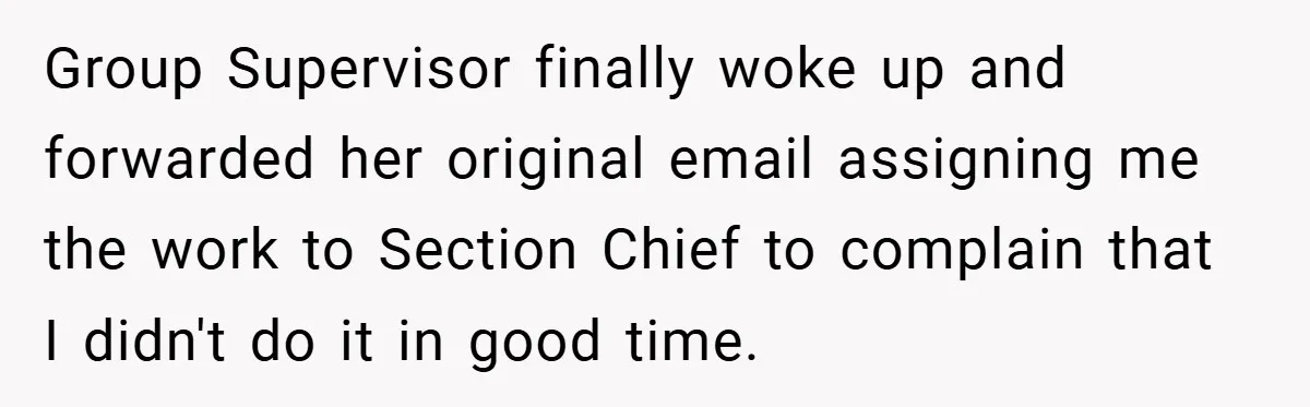 Group Supervisor finally woke up and forwarded her original email assigning me the work to Section Chief to complain that I didn't do it in good time.