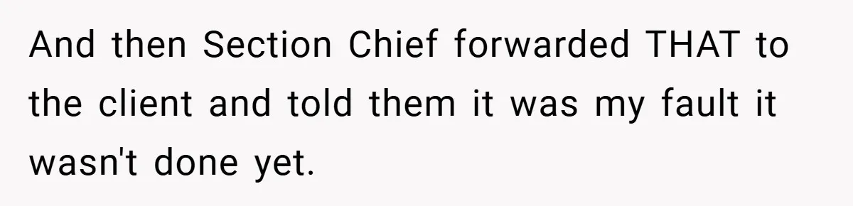 And then Section Chief forwarded THAT to the client and told them it was my fault it wasn't done yet.