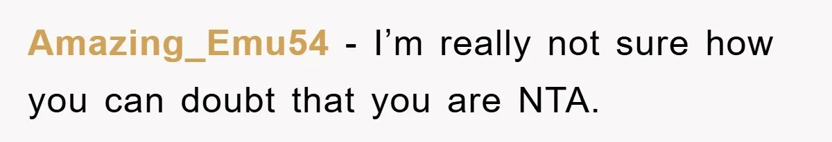 Amazing_Emu54 − I’m really not sure how you can doubt that you are NTA.