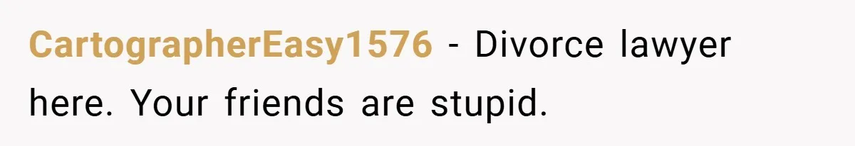 Husband Files For Divorce In Secret After Discovering Wife’s Affair, Leaves Her Completely Unprepared CartographerEasy1576 − Divorce lawyer here. Your friends are stupid.