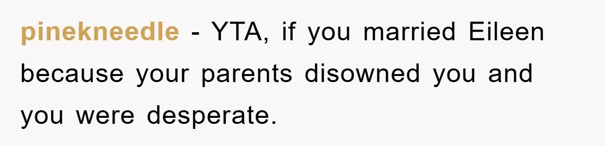 Man Tells His Parents He Married His Wife Because They Disowned Him, Dinner Turns Awkward Fast pinekneedle − YTA, if you married Eileen because your parents disowned you and you were desperate.