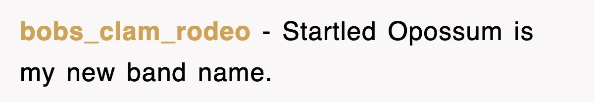 bobs_clam_rodeo − Startled Opossum is my new band name.