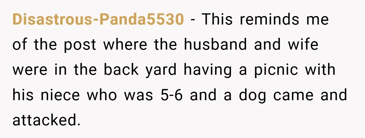 Disastrous-Panda5530 − This reminds me of the post where the husband and wife were in the back yard having a picnic with his niece who was 5-6 and a dog...