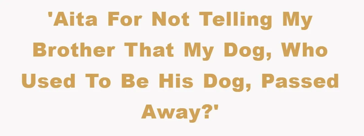 He Walked Away From His Dog For Love, Then Claimed He Still Had The Right To Mourn 'AITA for not telling my brother that my dog, who used to be his dog, passed away?'