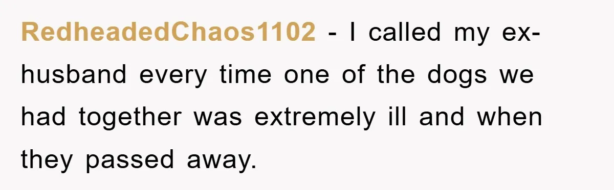 He Walked Away From His Dog For Love, Then Claimed He Still Had The Right To Mourn RedheadedChaos1102 − I called my ex-husband every time one of the dogs we had together was extremely ill and when they passed away.
