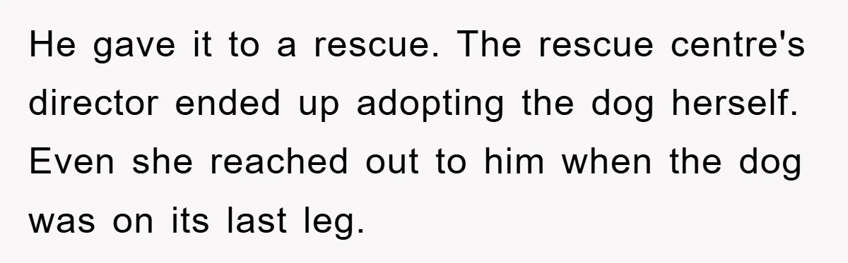 He Walked Away From His Dog For Love, Then Claimed He Still Had The Right To Mourn He gave it to a rescue. The rescue centre's director ended up adopting the dog herself. Even she reached out to him when the dog was on its last leg.