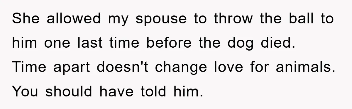 He Walked Away From His Dog For Love, Then Claimed He Still Had The Right To Mourn She allowed my spouse to throw the ball to him one last time before the dog died. Time apart doesn't change love for animals. You should have told him.