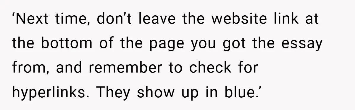 ‘Next time, don’t leave the website link at the bottom of the page you got the essay from, and remember to check for hyperlinks. They show up in blue.’