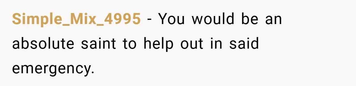 Simple_Mix_4995 − You would be an absolute saint to help out in said emergency.
