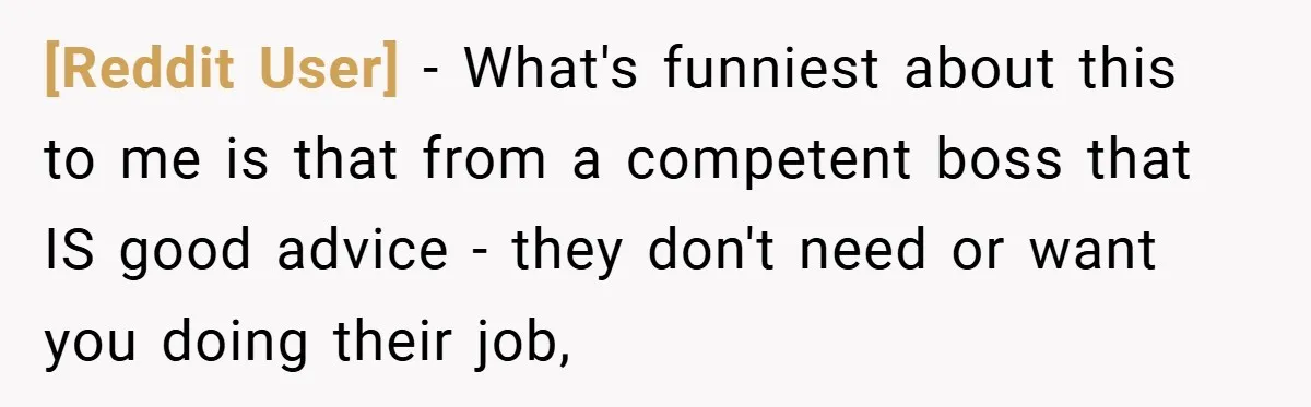 [Reddit User] − What's funniest about this to me is that from a competent boss that IS good advice - they don't need or want you doing their job,