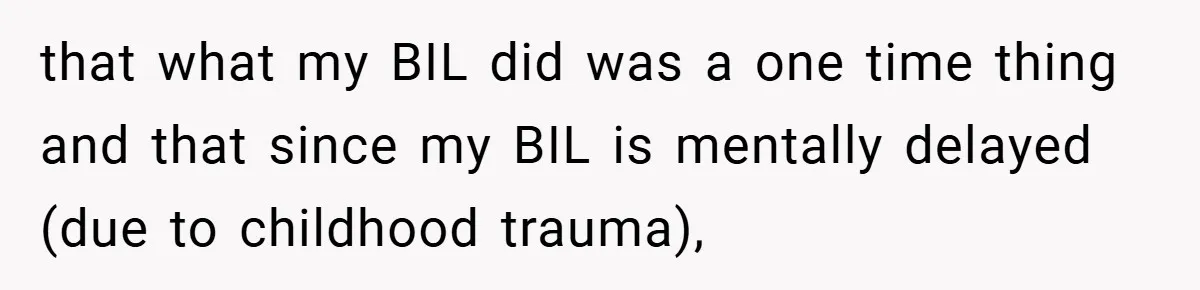 that what my BIL did was a one time thing and that since my BIL is mentally delayed (due to childhood trauma),