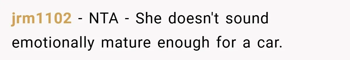 jrm1102 − NTA - She doesn't sound emotionally mature enough for a car.