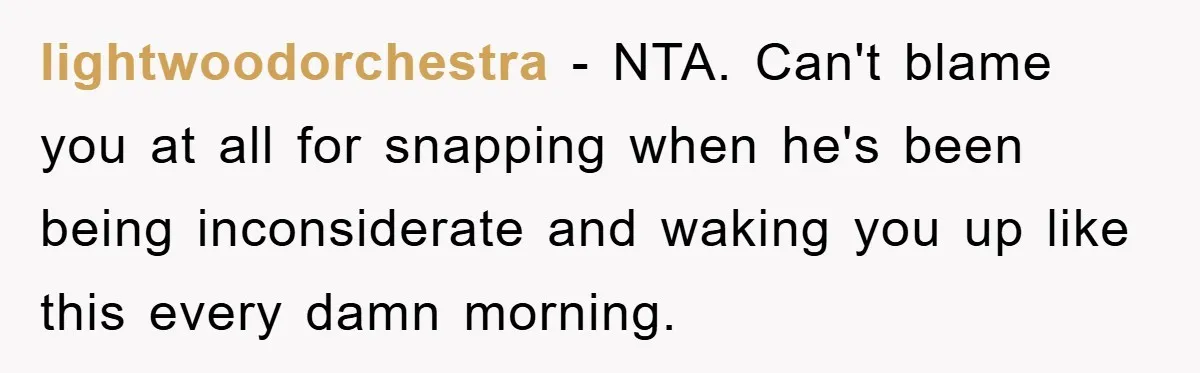 lightwoodorchestra − NTA. Can't blame you at all for snapping when he's been being inconsiderate and waking you up like this every damn morning.