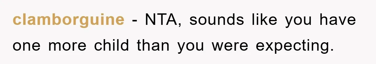 clamborguine − NTA, sounds like you have one more child than you were expecting.