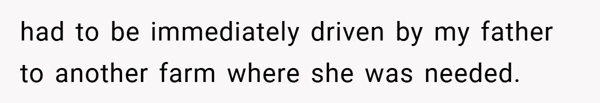 A Woman Tells Her Brother His Birth Was the Worst Day of Her Life and the Family Is Stunned had to be immediately driven by my father to another farm where she was needed.