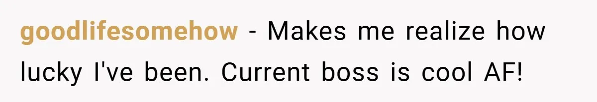 goodlifesomehow − Makes me realize how lucky I've been. Current boss is cool AF!